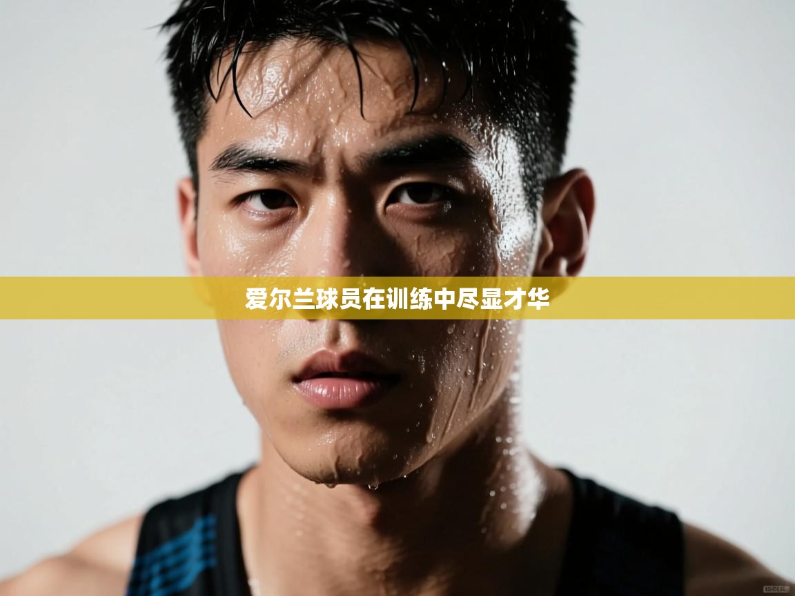 爱尔兰球员在训练中尽显才华  第2张