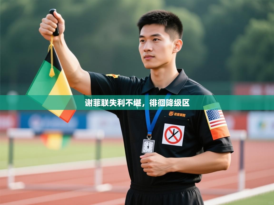 谢菲联失利不堪，徘徊降级区  第1张
