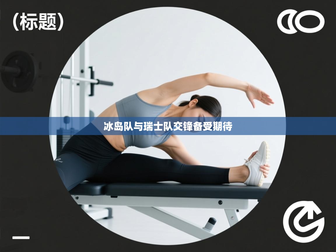 冰岛队与瑞士队交锋备受期待 第1张