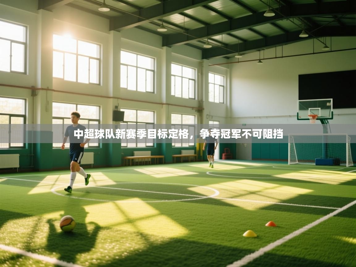 中超球队新赛季目标定格,争夺冠军不可阻挡 第1张