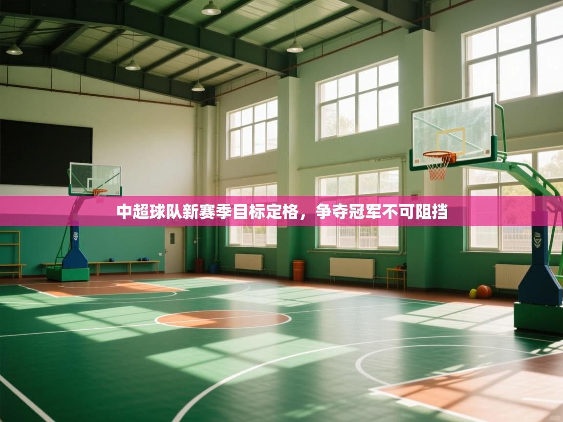 中超球队新赛季目标定格,争夺冠军不可阻挡 第2张