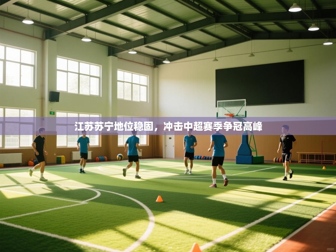 江苏苏宁地位稳固,冲击中超赛季争冠高峰 第2张