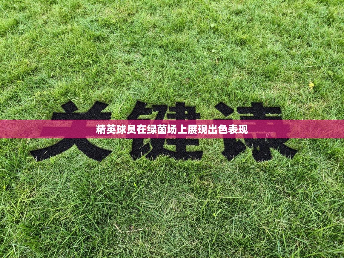 精英球员在绿茵场上展现出色表现 第1张