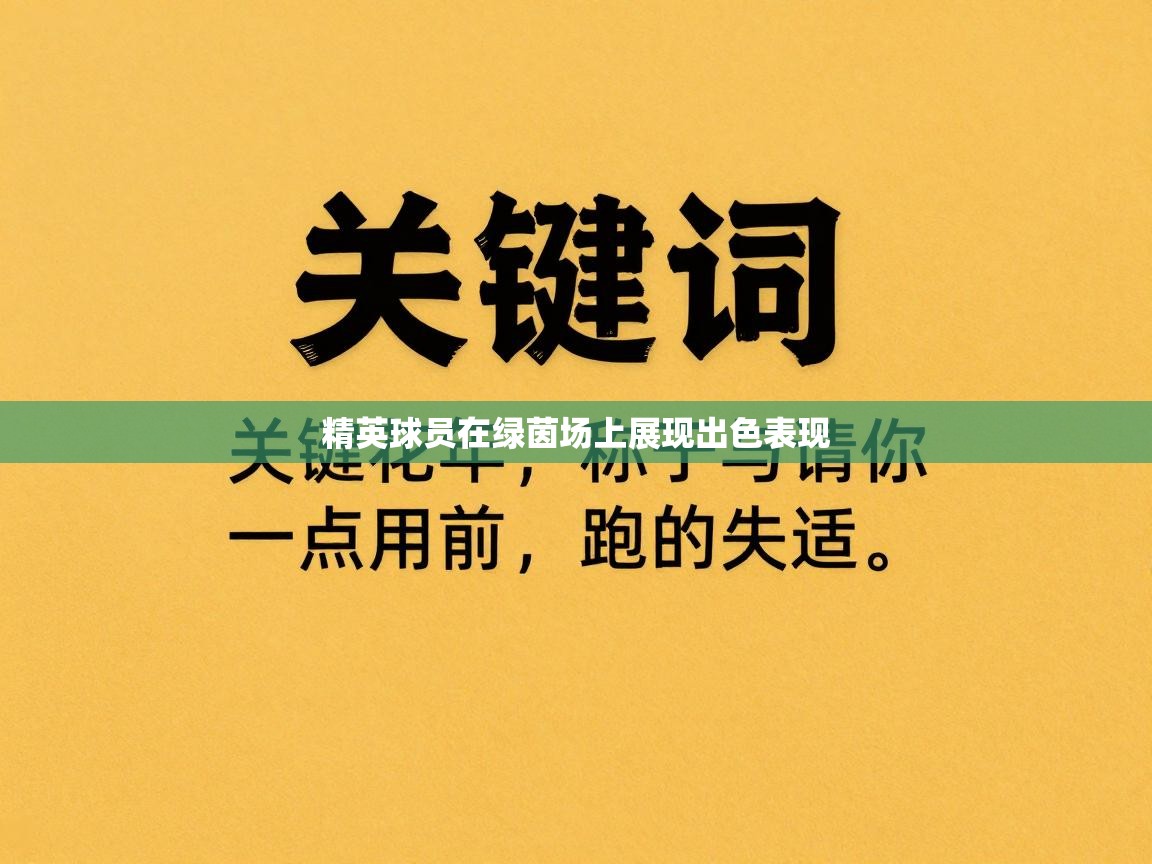 精英球员在绿茵场上展现出色表现 第2张